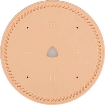 Умная колонка Yandex Станция Лайт Алиса бежевый 5W 1.0 BT 10м (YNDX-00025B) - купить недорого с доставкой в интернет-магазине