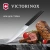 Нож кухонный Victorinox Swiss Modern (6.9003.12) стальной столовый для стейка лезв.120мм прямая заточка черный - купить недорого с доставкой в интернет-магазине