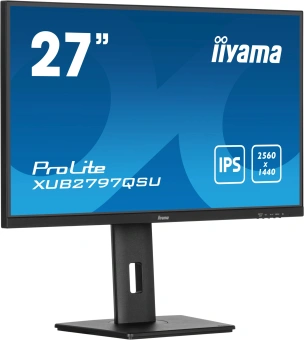 Монитор Iiyama 27" ProLite XUB2797QSU-B2 черный IPS LED 16:9 HDMI M/M матовая HAS Piv 300cd 178гр/178гр 2560x1440 100Hz DP 2K USB 5.7кг - купить недорого с доставкой в интернет-магазине