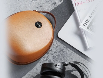 Наушники мониторные Fiio FT5 1.5м черный проводные оголовье - купить недорого с доставкой в интернет-магазине