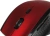 Мышь Defender Accura MM-365 красный оптическая 1600dpi беспров. USB 5but (52367) - купить недорого с доставкой в интернет-магазине