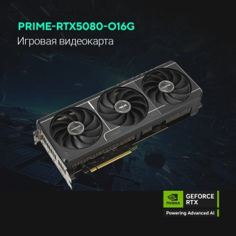 Видеокарта Asus PCI-E PRIME-RTX5080-O16G NVIDIA GeForce RTX 5080 16Gb 256bit GDDR7 2640/23000 HDMIx2 DPx3 HDCP Ret - купить недорого с доставкой в интернет-магазине