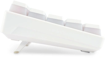 Клавиатура Оклик K763W механическая белый USB беспроводная BT/Radio Multimedia for gamer LED (1920562) - купить недорого с доставкой в интернет-магазине