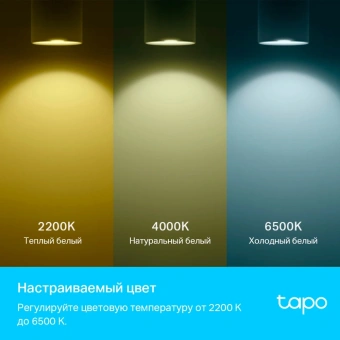 Умная лампа TP-Link Tapo L630 GU10 3.7Вт 350lm Wi-Fi (упак.:1шт) - купить недорого с доставкой в интернет-магазине