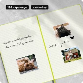 Блокнот Moleskine CLASSIC QP090C2 XLarge 190х250мм 192стр. линейка твердая обложка лайм - купить недорого с доставкой в интернет-магазине