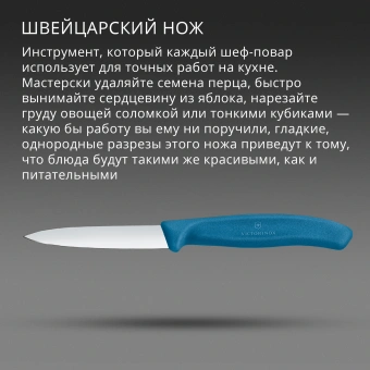 Нож кухонный Victorinox Swiss Classic (6.7602.C1) стальной универсальный для чистки овощей и фруктов лезв.80мм прямая заточка синий - купить недорого с доставкой в интернет-магазине