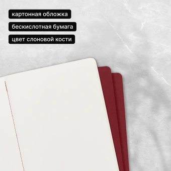 Блокнот Moleskine CAHIER JOURNAL CH123 XLarge 190х250мм обложка картон 120стр. нелинованный клюквенный (3шт) - купить недорого с доставкой в интернет-магазине