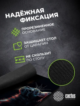 Коврик для мыши Cactus Night Cat 220x180x2мм (CS-MPC-P12XS) - купить недорого с доставкой в интернет-магазине