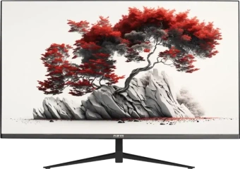 Монитор RDW Computers 27" RDW2701K черный IPS 1ms HDMI M/M матовая HAS Piv 350cd 178гр/178гр 2560x1440 100Hz DP QHD (RUS) - купить недорого с доставкой в интернет-магазине