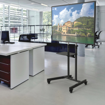 Стойка для телевизора Cactus CS-ST31 черный 37"-75" макс.81.6кг напольный мобильный - купить недорого с доставкой в интернет-магазине