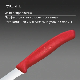 Нож кухонный Victorinox Swiss Classic (6.7431.C1) стальной универсальный для овощей лезв.80мм серрейт. заточка красный - купить недорого с доставкой в интернет-магазине