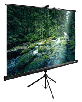 Экран Cactus 165x220см TriExpert CS-PSTE-220x165-BK 4:3 напольный рулонный черный - купить недорого с доставкой в интернет-магазине