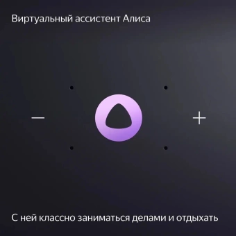 Умная колонка Yandex Станция Миди Алиса черный 24W 1.0 BT/Wi-Fi 10м (YNDX-00054BLK) - купить недорого с доставкой в интернет-магазине