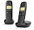 Р/Телефон Dect Gigaset A270 Duo Rus черный (труб. в компл.:2шт) АОН