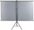 Экран Lumien 84" 110x190см Sky Cinema LSС-100101 16:9 напольный натяжной белый - купить недорого с доставкой в интернет-магазине