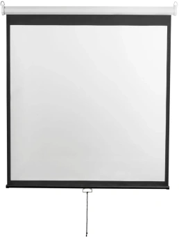 Экран Digis 135" 240x240см Optimal-D DSOD-1107 1:1 настенно-потолочный рулонный - купить недорого с доставкой в интернет-магазине