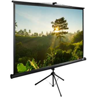 Экран Cactus 200x200см TriExpert CS-PSTE-200x200-BK 1:1 напольный рулонный черный - купить недорого с доставкой в интернет-магазине