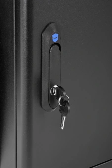 Шкаф коммутационный ЦМО (ШРН-М-12.500-9005) настенный 12U 600x520мм пер.дв.стекл 130кг черный 456мм 21.6кг 180град. 610мм IP20 сталь - купить недорого с доставкой в интернет-магазине