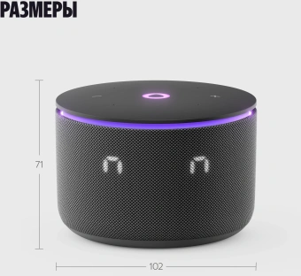 Умная колонка Yandex Станция Мини 3 Про Алиса черный 18W 2.0 BT/Wi-Fi (YNDX-00059BLK) - купить недорого с доставкой в интернет-магазине