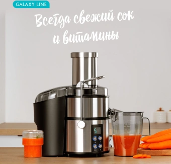 Соковыжималка центробежная Galaxy Line GL 0808 1500Вт рез.сок.:1100мл. серебристый - купить недорого с доставкой в интернет-магазине