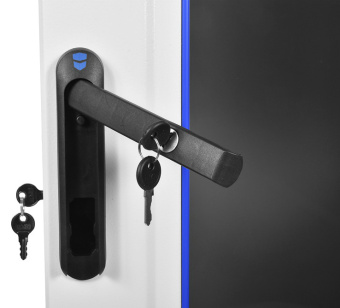 Шкаф коммутационный ЦМО (ШТК-М-42.6.8-1ААА-9005) напольный 42U 600x800мм пер.дв.стекл задн.дв.стал.лист 2 бок.пан. 550кг черный - купить недорого с доставкой в интернет-магазине