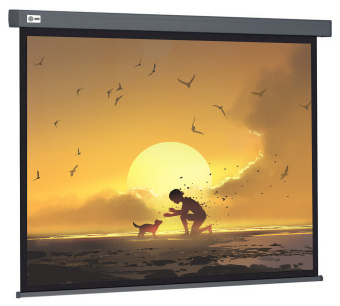 Экран Cactus 124.5x221см Wallscreen CS-PSW-124X221-SG 16:9 настенно-потолочный рулонный серый - купить недорого с доставкой в интернет-магазине