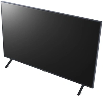 Телевизор LED LG 43" 43NANO80T6A.ARUG синяя сажа 4K Ultra HD 60Hz DVB-T DVB-T2 DVB-C DVB-S DVB-S2 USB WiFi Smart TV - купить недорого с доставкой в интернет-магазине