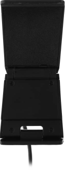 Камера Web Ritmix RVC-250 черный 5Mpix (2592x1944) USB2.0 с микрофоном - купить недорого с доставкой в интернет-магазине