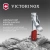 Книпсер Victorinox 8.2050.B1 для ногтей 60мм красный блистер - купить недорого с доставкой в интернет-магазине