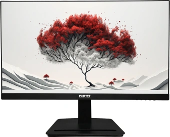 Монитор RDW Computers 23.8" RDW2401K черный IPS 4ms 16:9 HDMI матовая 300cd 178гр/178гр 1920x1080 100Hz VGA DP FHD 4.185кг (RUS) - купить недорого с доставкой в интернет-магазине