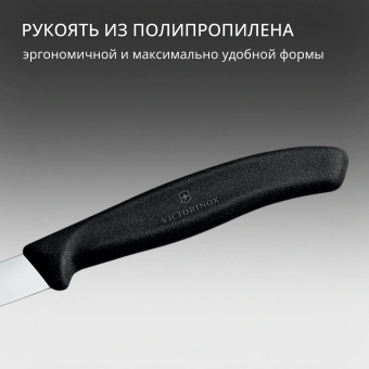 Нож кухонный Victorinox Swiss Classic (6.7603) стальной для чистки овощей и фруктов лезв.80мм прямая заточка черный - купить недорого с доставкой в интернет-магазине