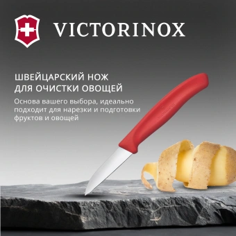 Нож кухонный Victorinox Swiss Classic (6.7301.C1) стальной для чистки овощей и фруктов лезв.60мм прямая заточка красный - купить недорого с доставкой в интернет-магазине