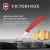 Нож кухонный Victorinox Swiss Classic (6.7301.C1) стальной для чистки овощей и фруктов лезв.60мм прямая заточка красный - купить недорого с доставкой в интернет-магазине