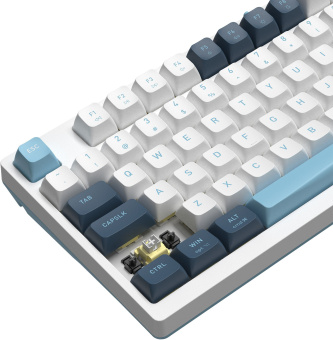 Клавиатура A4Tech FS300 механическая белый/синий USB for gamer LED (FS300 PANDA SNOWBOARDING) кабель 1.8м - купить недорого с доставкой в интернет-магазине