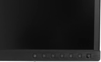 Монитор Asus 23.6" ProArt PA24US черный IPS LED 16:9 HDMI M/M матовая HAS Piv 600cd 178гр/178гр 3840x2160 60Hz DP Quad 4K (2160p) USB 6кг - купить недорого с доставкой в интернет-магазине