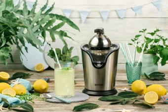 Соковыжималка цитрусовая Gorenje CJ100HE 100Вт нержавеющая сталь - купить недорого с доставкой в интернет-магазине