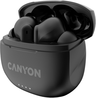 Гарнитура внутриканальные Canyon TWS-8 черный беспроводные bluetooth в ушной раковине (CNS-TWS8B) - купить недорого с доставкой в интернет-магазине