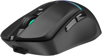Мышь Оклик 775GW черный оптическая 5000dpi беспров. BT/Radio USB/USB-C 6but - купить недорого с доставкой в интернет-магазине