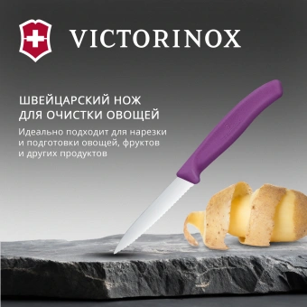 Нож кухонный Victorinox Swiss Classic (6.7635.C1) стальной универсальный для чистки овощей и фруктов лезв.80мм серрейт. заточка пурпурный - купить недорого с доставкой в интернет-магазине