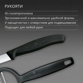 Набор нож/овощеч. Victorinox Swiss Classic 6.7113.22 компл.:2предм. черный европодвес - купить недорого с доставкой в интернет-магазине