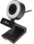 Камера Web Ritmix RVC-250 черный 5Mpix (2592x1944) USB2.0 с микрофоном - купить недорого с доставкой в интернет-магазине