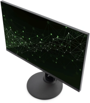 Монитор Digma 23.8" Progress 24P505F черный IPS LED 16:9 HDMI M/M матовая HAS Piv 250cd 178гр/178гр 1920x1080 100Hz G-Sync FreeSync VGA DP FHD 4.8кг - купить недорого с доставкой в интернет-магазине
