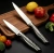 Набор ножей кухон. Rondell Imperial RD-2107 компл.:4предм. стальной подар.коробка - цена, купить или заказать с доставкой в интернет-магазине Набор ножей кухон. Rondell Imperial RD-2107 компл.:4предм. стальной подар.коробка - купить недорого с доставкой в интернет-магазине