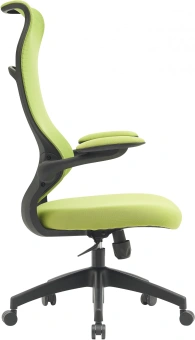 Кресло Cactus CS-MC505-GN салатовый сиденье салатовый сетка/ткань крестов. пластик пластик черный - купить недорого с доставкой в интернет-магазине