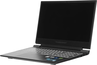 Ноутбук Thunderobot 911 X Wild Hunter G3 Evo Core i5 13420H 16Gb SSD512Gb NVIDIA GeForce RTX5050 8Gb 15.6" IPS FHD (1920x1080) FreeDOS grey WiFi BT Cam (JT009R00KRU) - купить недорого с доставкой в интернет-магазине