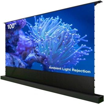 Экран Cactus 125x221см FloorRising CS-PSFRALR-221X125 16:9 напольный рулонный черный (моторизованный привод) - купить недорого с доставкой в интернет-магазине