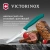 Нож кухонный Victorinox Swiss Classic (6.7834.C1) стальной столовый для томатов лезв.110мм серрейт. заточка зеленый - купить недорого с доставкой в интернет-магазине